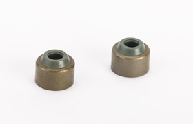 RETEN DE VALVULA CRYPTON T105/NEW CRYPTON T110 (JGO) STD [W89061]